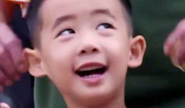 娱乐圈吃瓜李兰迪,揭秘吃瓜背后的真相